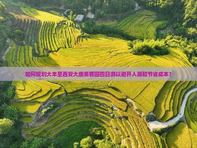 如何规划大丰至西安大唐芙蓉园四日游以避开人潮和节省成本？