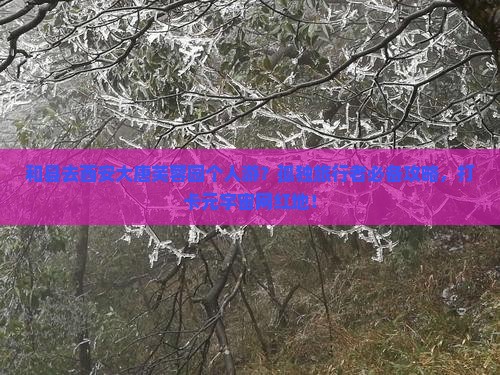 和县去西安大唐芙蓉园个人游？孤独旅行者必备攻略，打卡元宇宙网红地！