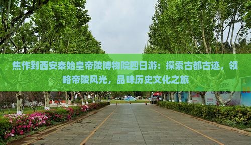 焦作到西安秦始皇帝陵博物院四日游：探索古都古迹，领略帝陵风光，品味历史文化之旅