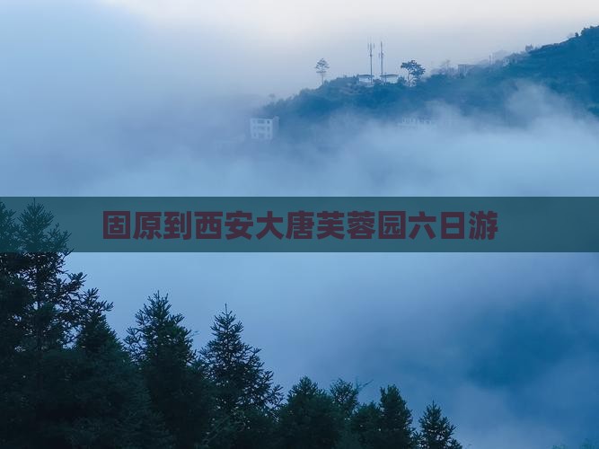 固原到西安大唐芙蓉园六日游