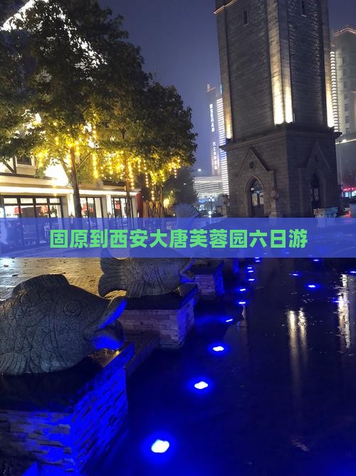 固原到西安大唐芙蓉园六日游