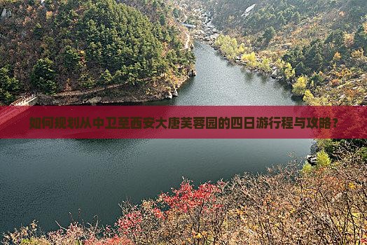 如何规划从中卫至西安大唐芙蓉园的四日游行程与攻略？