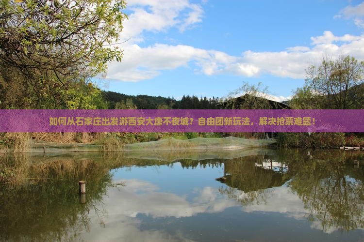 如何从石家庄出发游西安大唐不夜城？自由团新玩法，解决抢票难题！