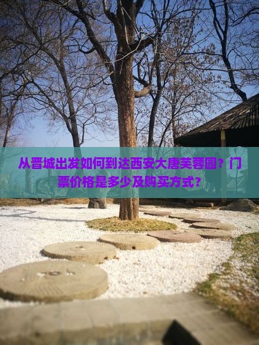 从晋城出发如何到达西安大唐芙蓉园？门票价格是多少及购买方式？