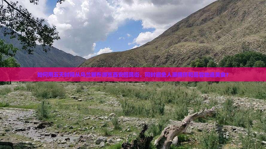 如何用五天时间从乌兰察布游览西安回民街，同时避免人潮拥挤和品尝地道美食？