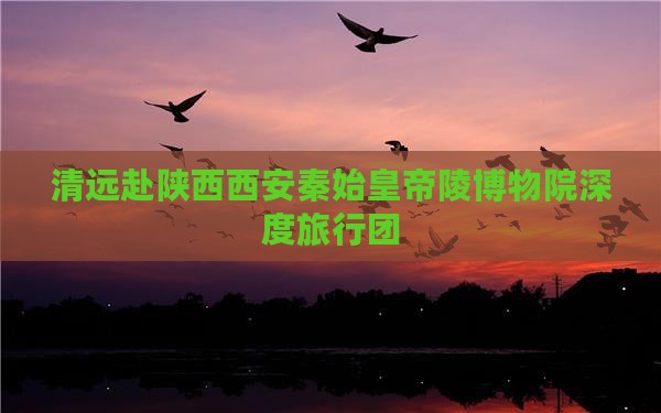 清远赴陕西西安秦始皇帝陵博物院深度旅行团