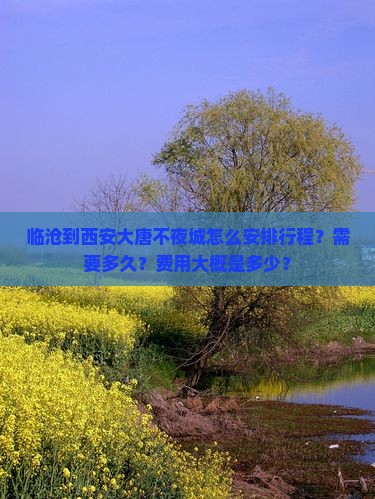 临沧到西安大唐不夜城怎么安排行程？需要多久？费用大概是多少？