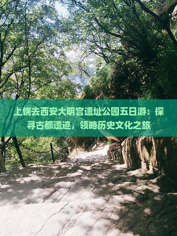 上饶去西安大明宫遗址公园五日游：探寻古都遗迹，领略历史文化之旅