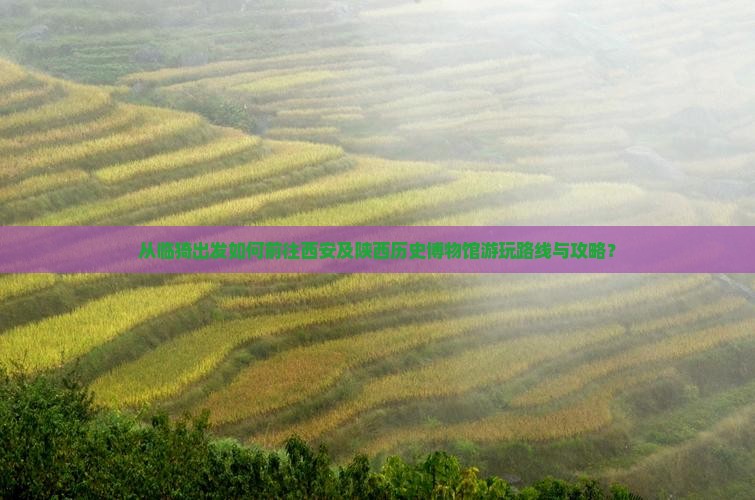从临猗出发如何前往西安及陕西历史博物馆游玩路线与攻略？