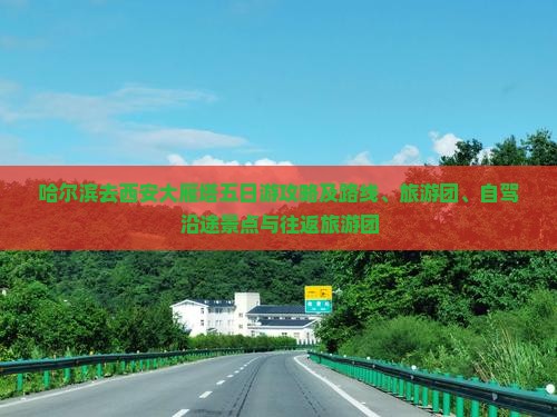 哈尔滨去西安大雁塔五日游攻略及路线、旅游团、自驾沿途景点与往返旅游团