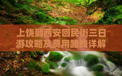 上饶到西安回民街三日游攻略及费用路线详解