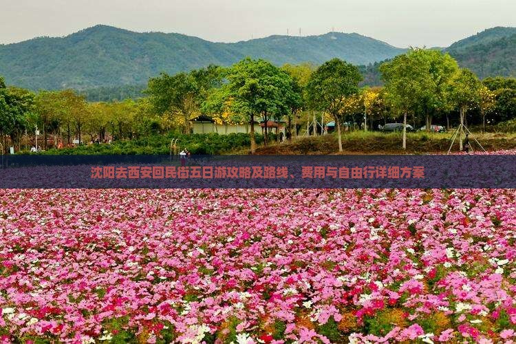 沈阳去西安回民街五日游攻略及路线、费用与自由行详细方案