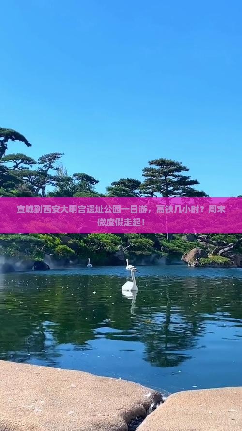 宣城到西安大明宫遗址公园一日游，高铁几小时？周末微度假走起！