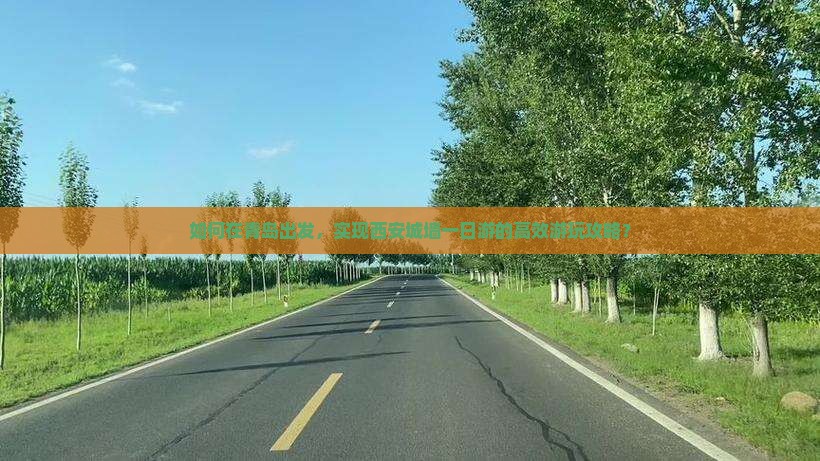 如何在青岛出发，实现西安城墙一日游的高效游玩攻略？