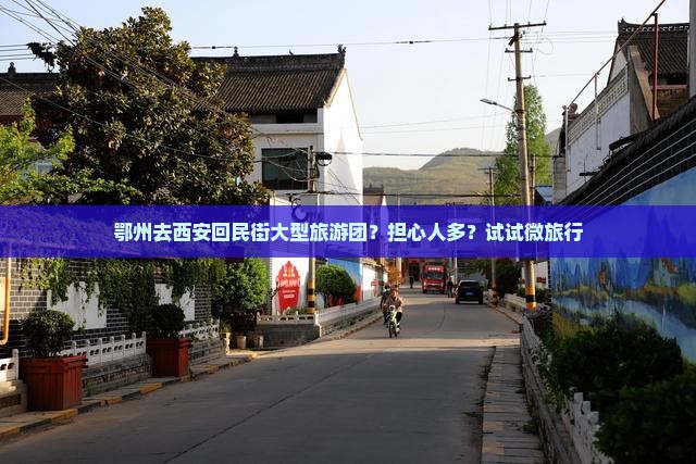 鄂州去西安回民街大型旅游团？担心人多？试试微旅行