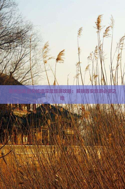 惠州出发西安城墙深度旅游攻略：解锁西安旅游必游之地