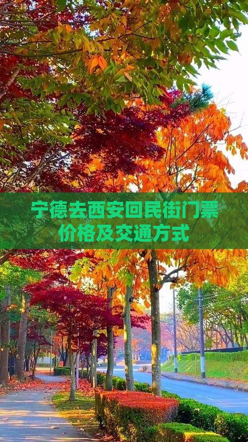 宁德去西安回民街门票价格及交通方式