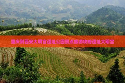 重庆到西安大明宫遗址公园景点旅游攻略遗址大明宫