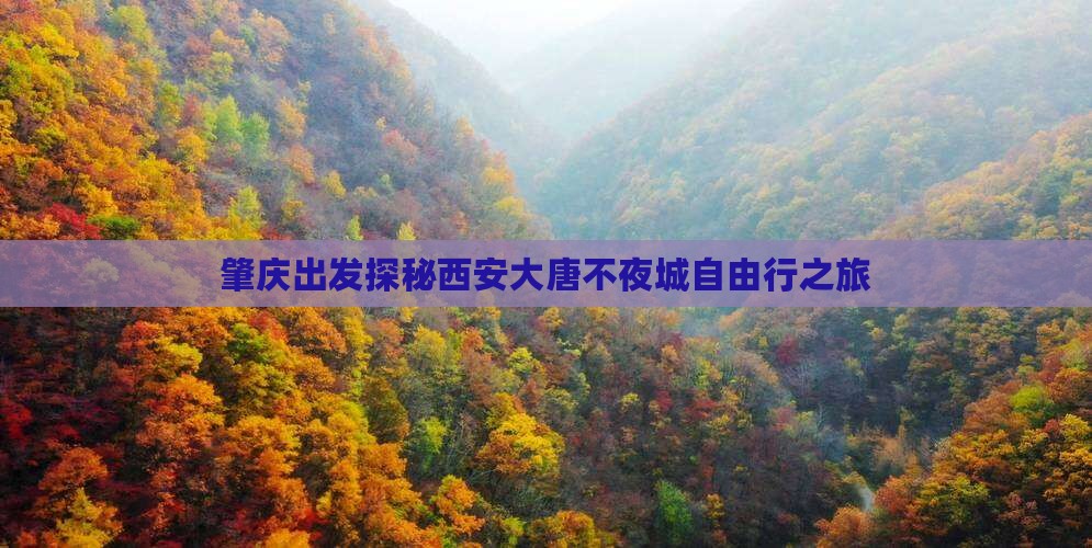 肇庆出发探秘西安大唐不夜城自由行之旅