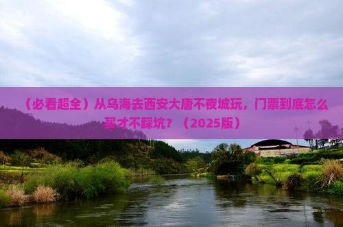 乌海市去西安大唐不夜城门票