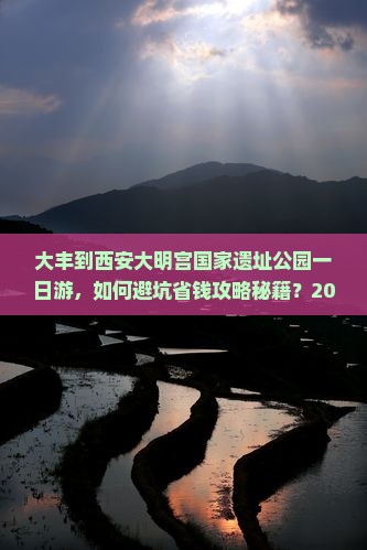 大丰到西安大明宫国家遗址公园一日游