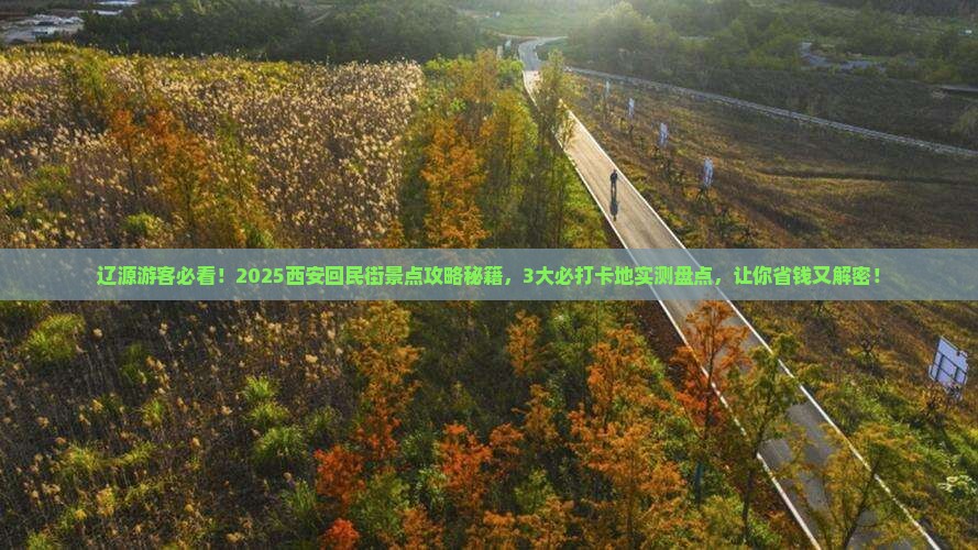 辽源到西安回民街景点