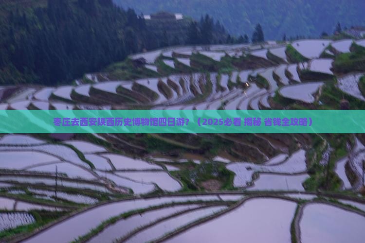 枣庄去西安陕西历史博物馆四日游