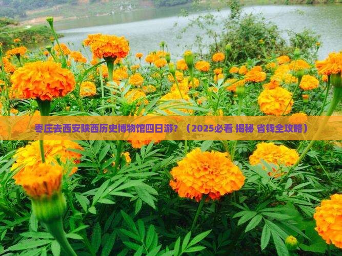 枣庄去西安陕西历史博物馆四日游