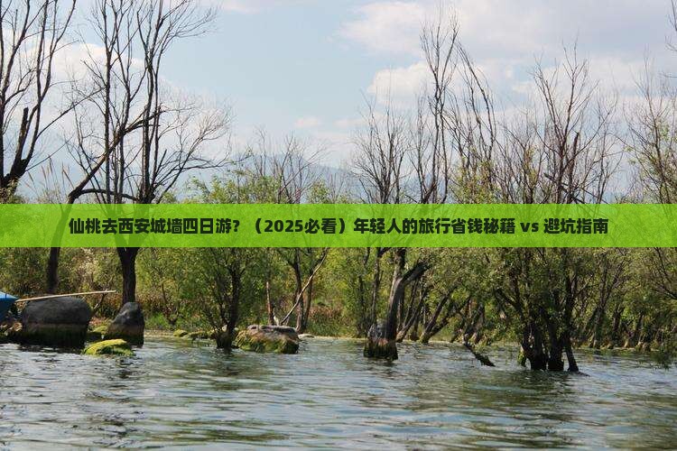 仙桃去西安城墙四日游