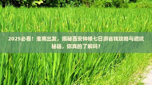 淮南到西安钟楼七日游