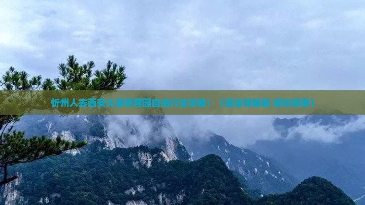 忻州去西安大唐芙蓉园自由团