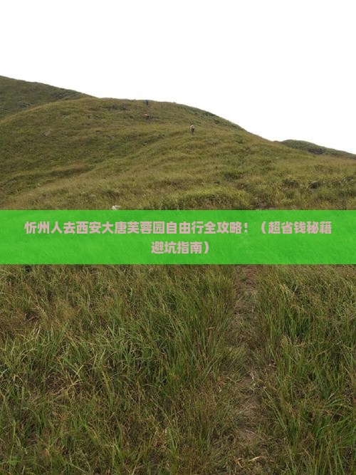 忻州去西安大唐芙蓉园自由团