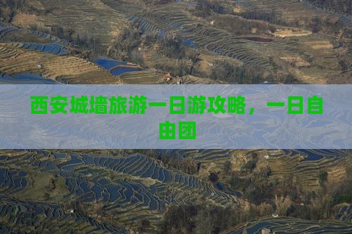 西安到西安城墙自由团