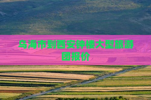 乌海市到西安钟楼大型旅游团
