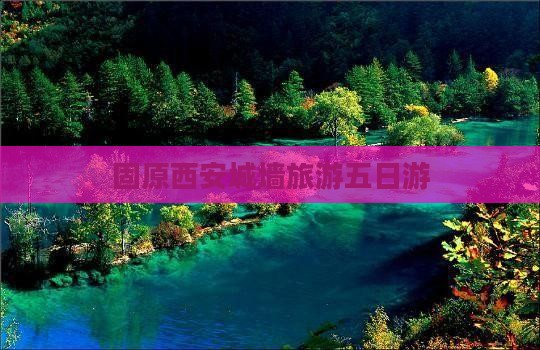 固原去西安城墙五日游