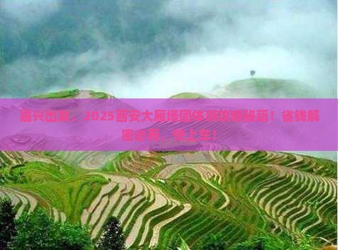 嘉兴去西安大雁塔团体旅游