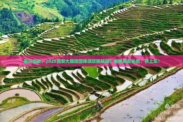 嘉兴去西安大雁塔团体旅游
