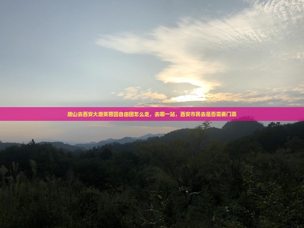 唐山去西安大唐芙蓉园自由团