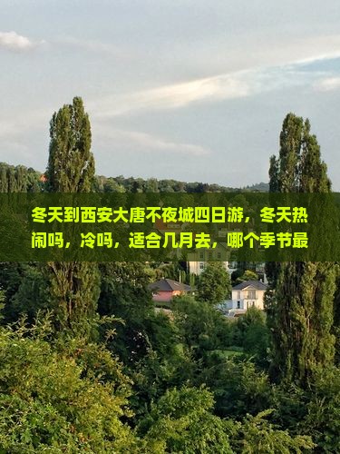 冬天到西安大唐不夜城四日游