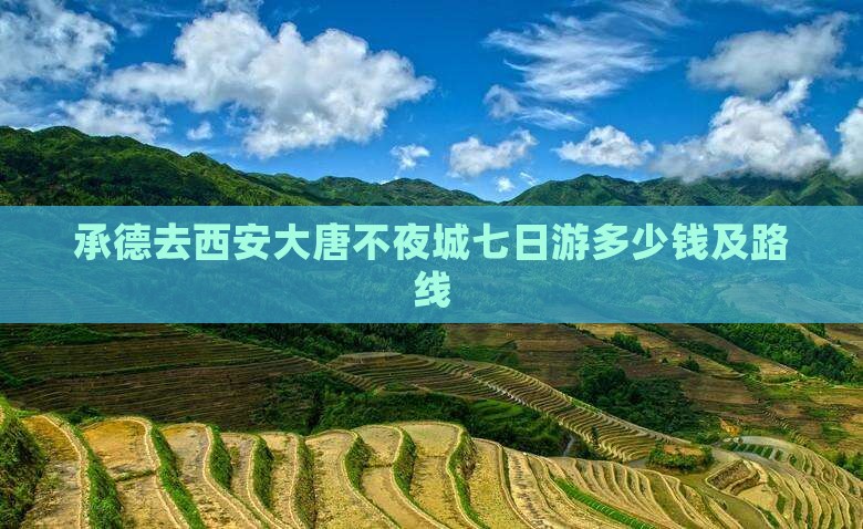承德去西安大唐不夜城七日游