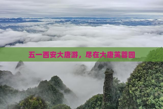 劳动节去西安大唐芙蓉园旅游