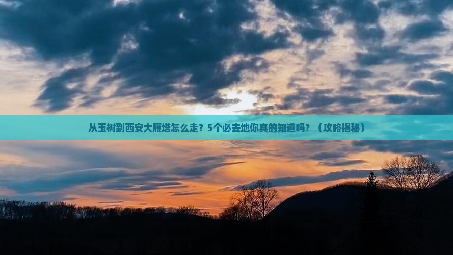 玉树到西安大雁塔必去地