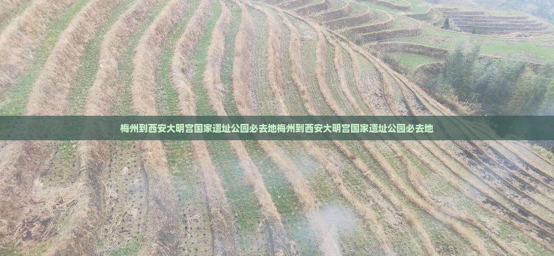 梅州到西安大明宫国家遗址公园必去地