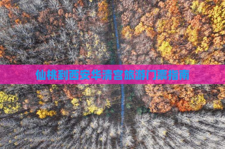 仙桃去西安华清宫门票