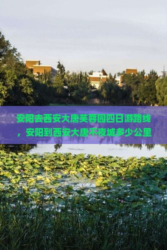安阳去西安大唐芙蓉园四日游