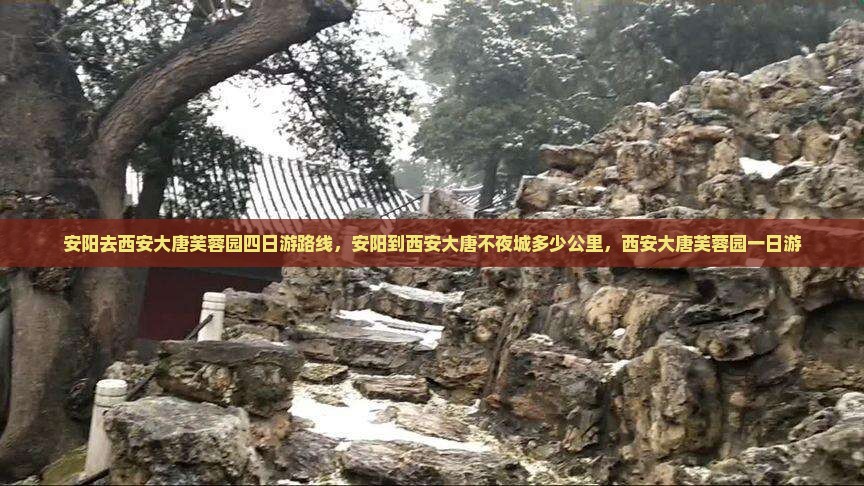 安阳去西安大唐芙蓉园四日游