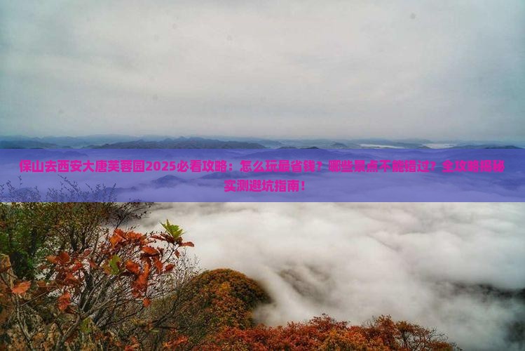 保山去西安大唐芙蓉园景点