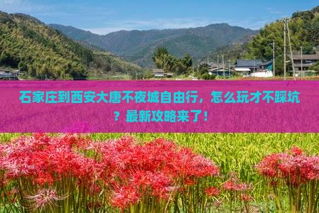 石家庄到西安大唐不夜城自由行 石家庄到西安大唐不夜城自由行