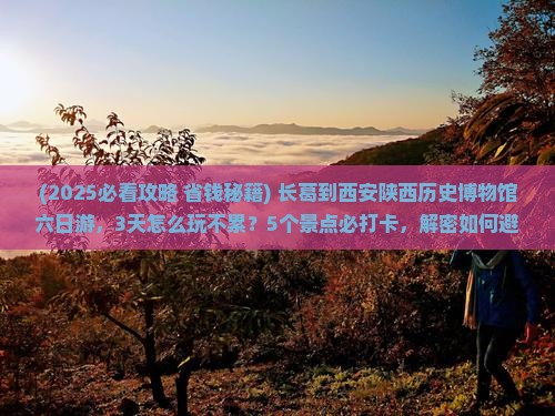 长葛到西安陕西历史博物馆六日游
