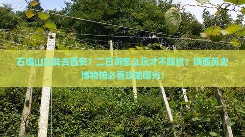 石嘴山到西安陕西历史博物馆二日游